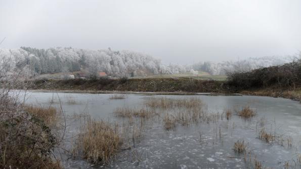 Naturschutzgebiet  Auried Kleinbösingen im Winter  27.1.2022