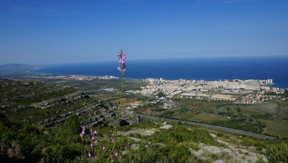 Oropesa del Mar Spanien