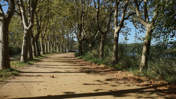 Estany de Banyoles