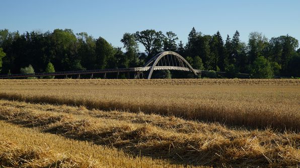 Pont Rotary
