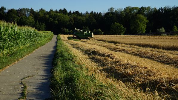 Mit dem Fahrrad zur Pont Rotary