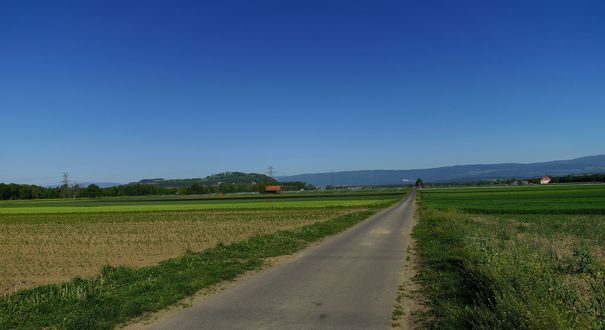 Galmizkanal
