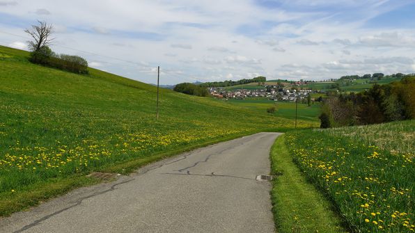 Buchholz Wünnewil
