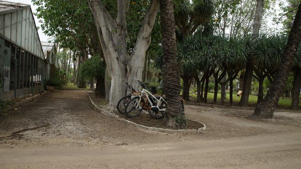Elche Spanien Fahrräder abgestellt