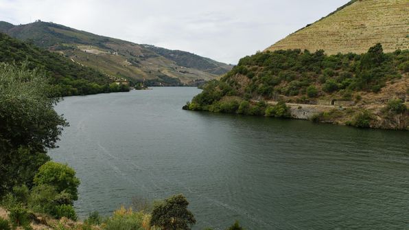 Mit dem Auto von Porto dem Douro entlag