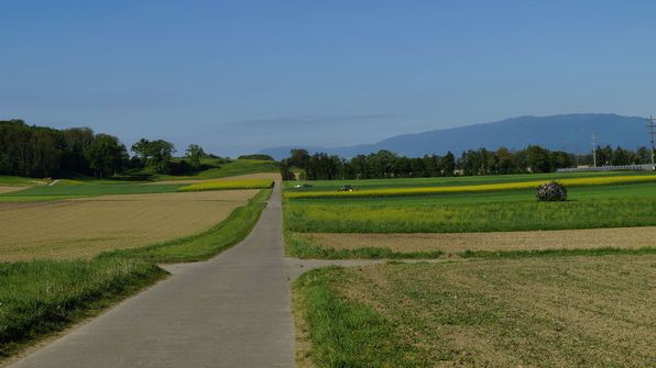 Rte de Chaumont hinter dem Mont Vuly