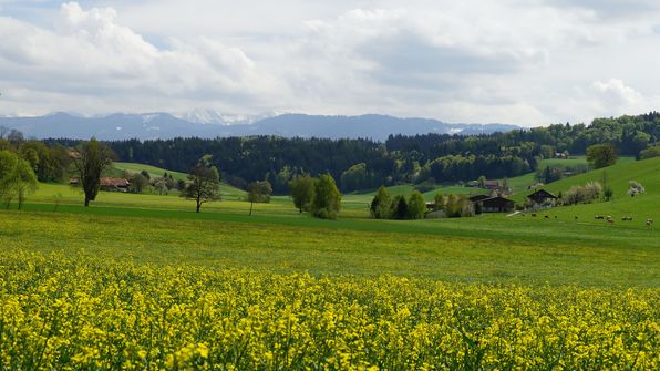 Breiteli Ueberstorf