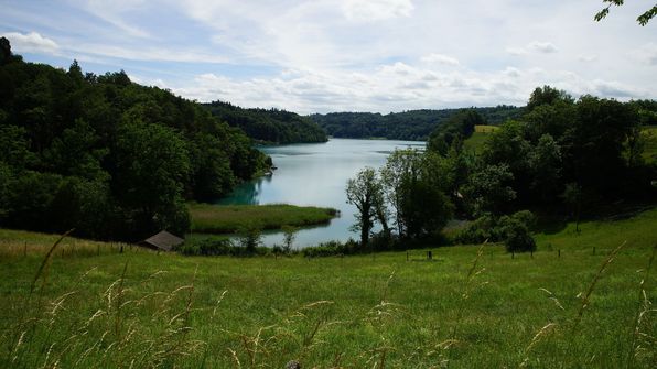 Wohlensee