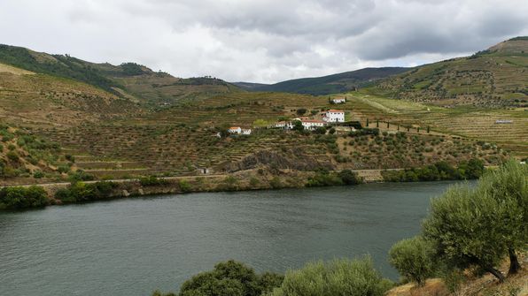Mit dem Auto von Porto dem Douro entlag