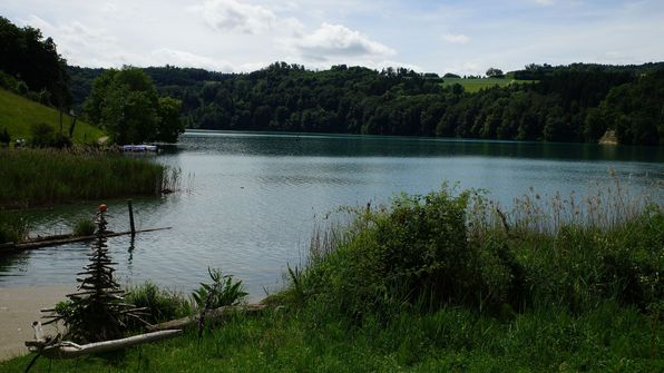 Wohlensee