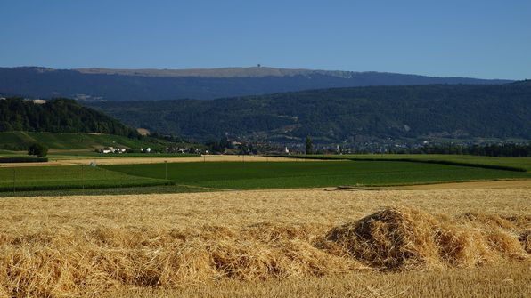 fahrt zum Bielersee