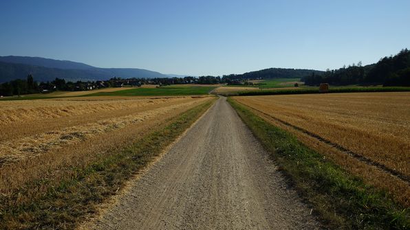 fahrt zum Bielersee