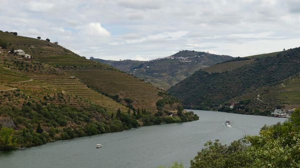 Mit dem Auto von Porto dem Douro entlag
