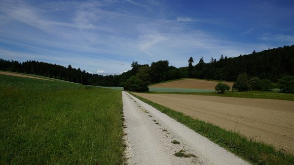 Radfahren zum Wohlensee