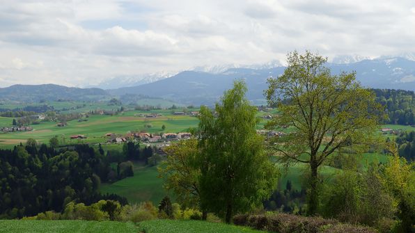 Höhi Ueberstorf