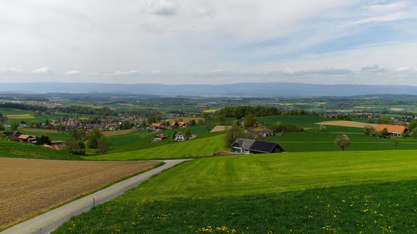 Höhi Ueberstorf