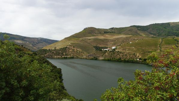 Mit dem Auto von Porto dem Douro entlag