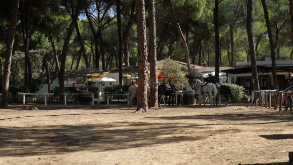 Camping Dehesa Nueva