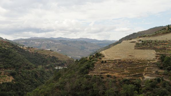 Mit dem Auto von Porto dem Douro entlag