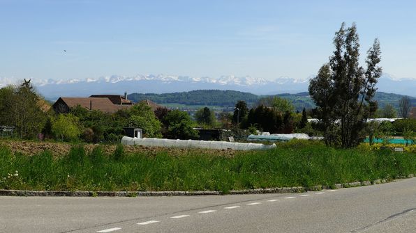 Mont-Vully