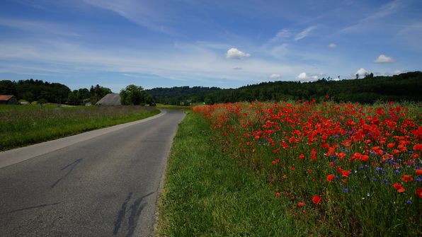 Radfahren zum Wohlensee