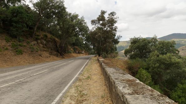 Mit dem Auto von Porto dem Douro entlag