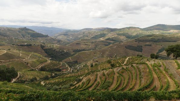 Mit dem Auto von Porto dem Douro entlag