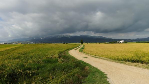 Ebrodelta Radfahren