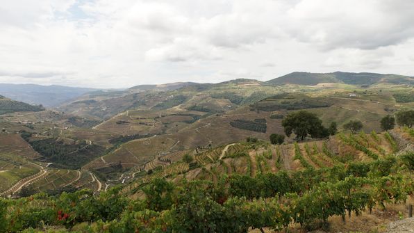 Mit dem Auto von Porto dem Douro entlag
