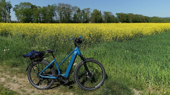 Mein E-Bike Price 