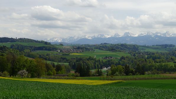Wittenmattstr. Neuenegg