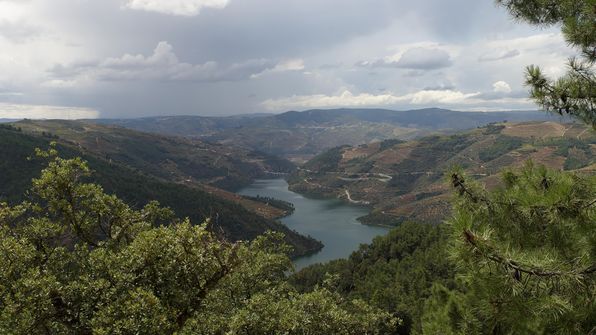 Mit dem Auto von Porto dem Douro entlag