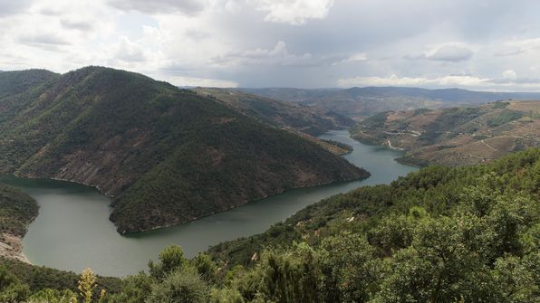 Mit dem Auto von Porto dem Douro entlag