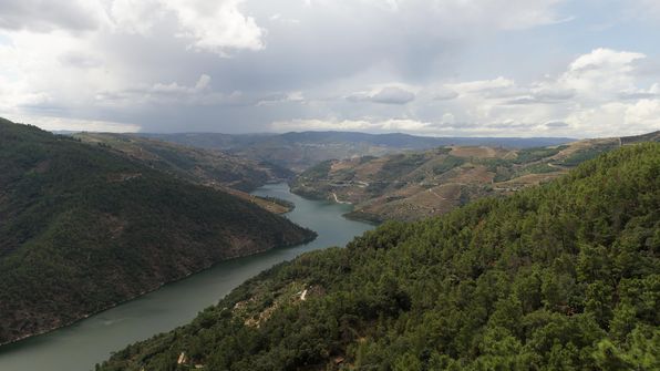 Mit dem Auto von Porto dem Douro entlag