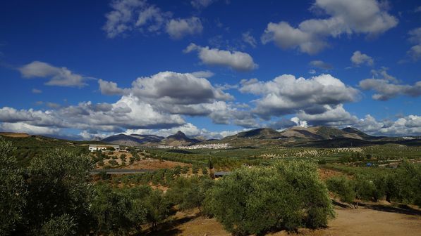 Camping Granada