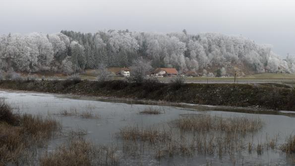 Naturschutzgebiet  Auried Kleinbösingen im Winter 