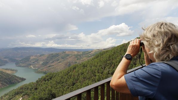 Mit dem Auto von Porto dem Douro entlag