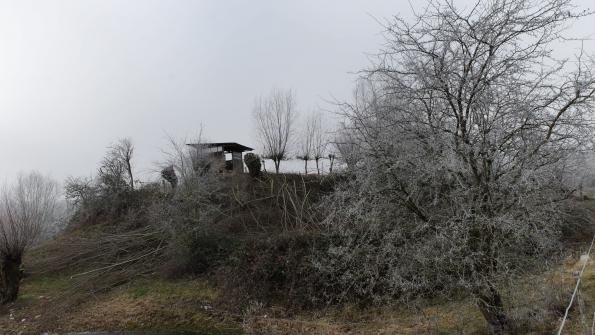 Naturschutzgebiet  Auried Kleinbösingen im Winter 