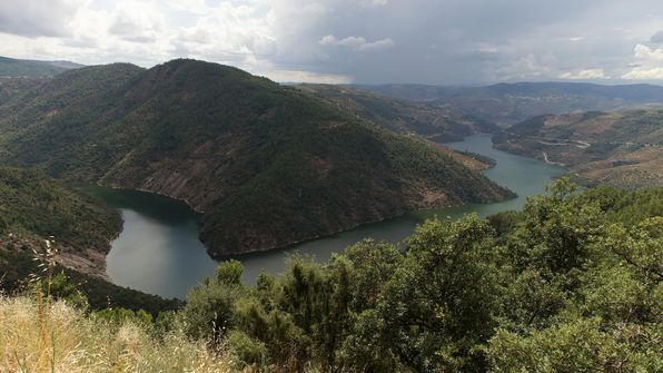 Mit dem Auto von Porto dem Douro entlag