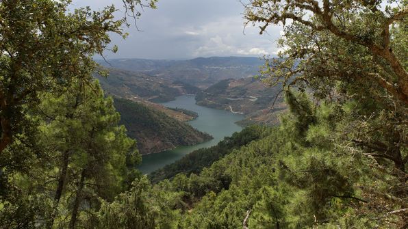 Mit dem Auto von Porto dem Douro entlag