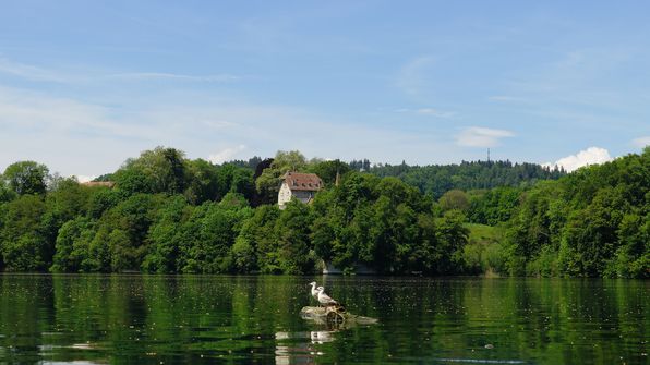 Château de Grand Vivy