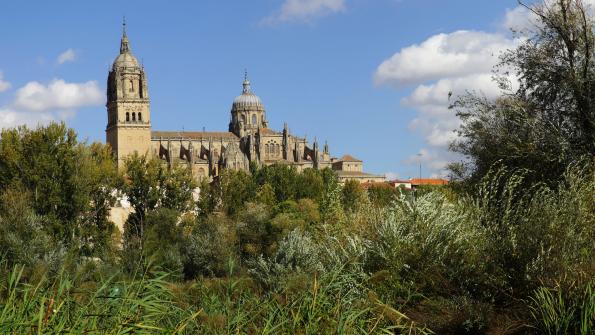 Salamanca