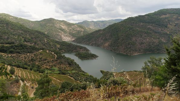 Mit dem Auto von Porto dem Douro entlag