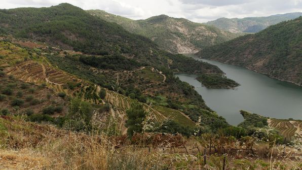 Mit dem Auto von Porto dem Douro entlag