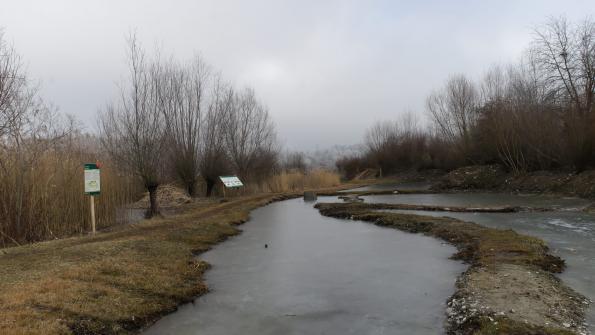 Naturschutzgebiet  Auried Kleinbösingen im Winter 