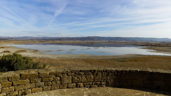 Laguna de Pitillas