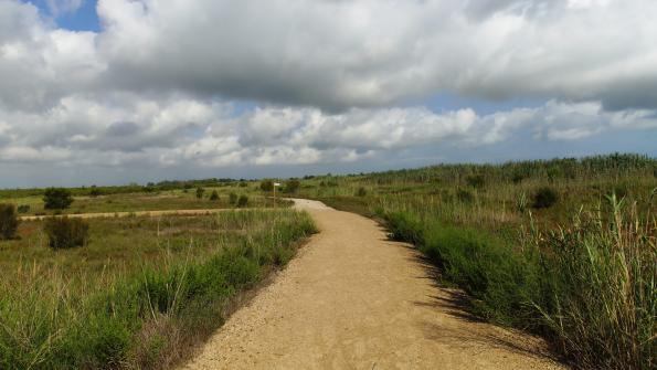 Ebrodelta Radfahren