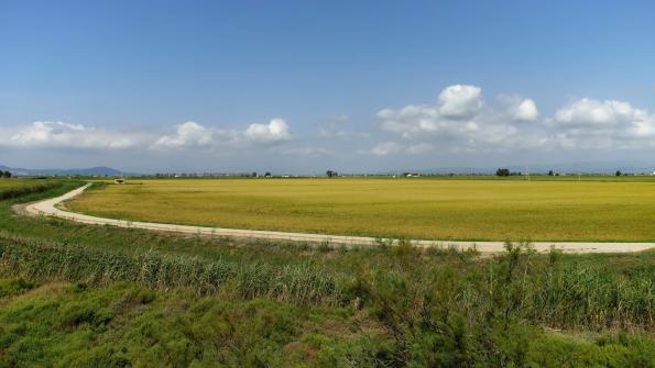 Ebrodelta Radfahren