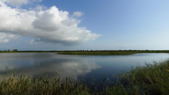 Ebrodelta Radfahren