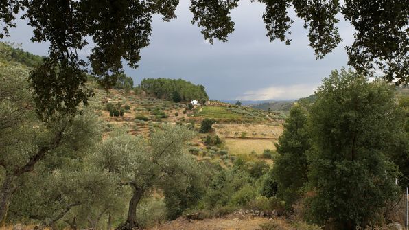 Mit dem Auto von Porto dem Douro entlag